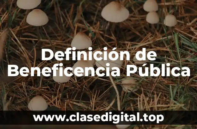Definición de Beneficencia Pública