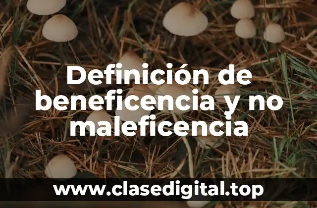 Definición de beneficencia y no maleficencia