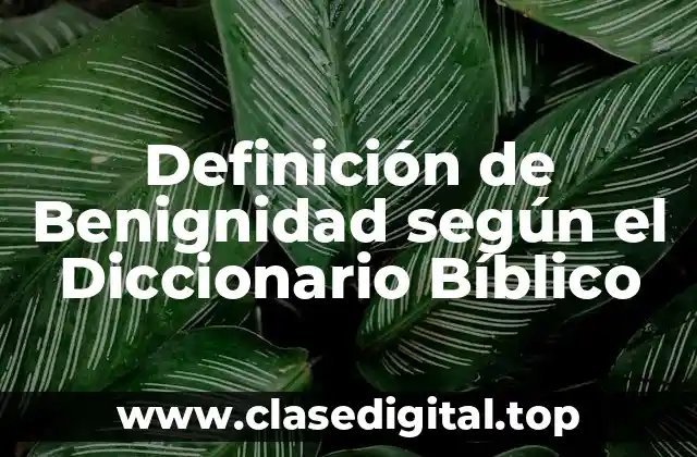 Definición de Benignidad según el Diccionario Bíblico