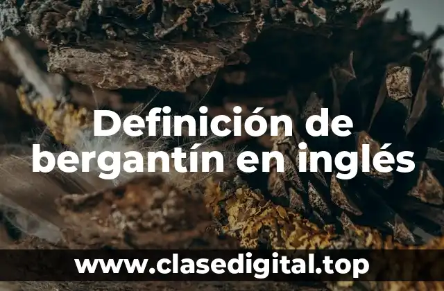 Definición de bergantín en inglés