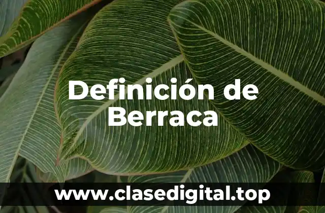 Definición de Berraca