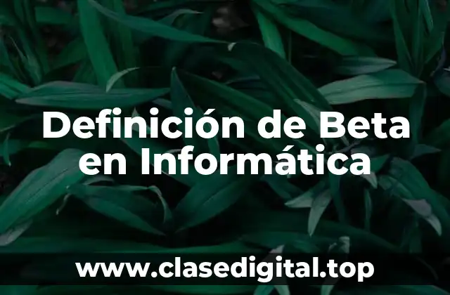 Definición de Beta en Informática