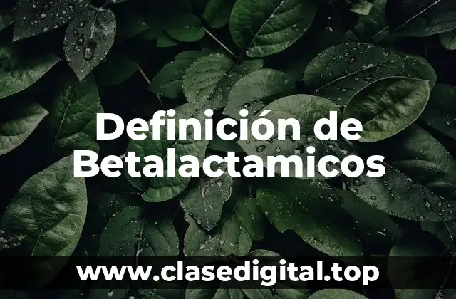 Definición de Betalactamicos