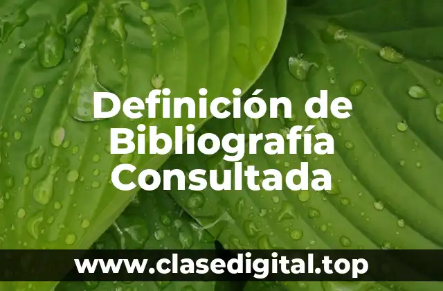 Definición de Bibliografía Consultada