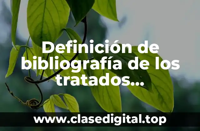Ejemplos de bibliografía de los tratados internacionales en APPA