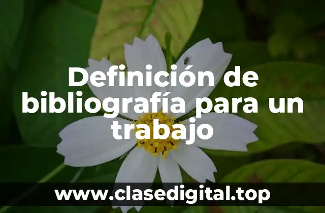 Ejemplos de bibliografía