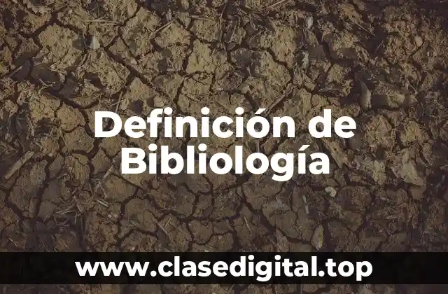 Definición técnica de Bibliología