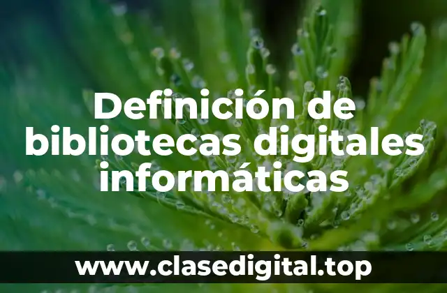Definición de bibliotecas digitales informáticas