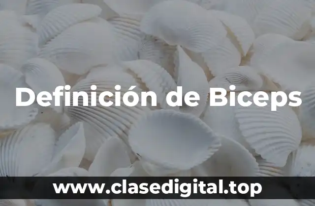 Definición de Biceps