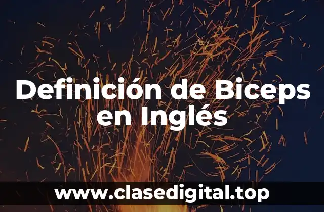 Definición de Biceps en Inglés