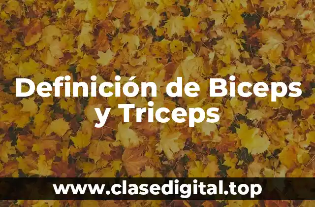 Definición de Biceps y Triceps