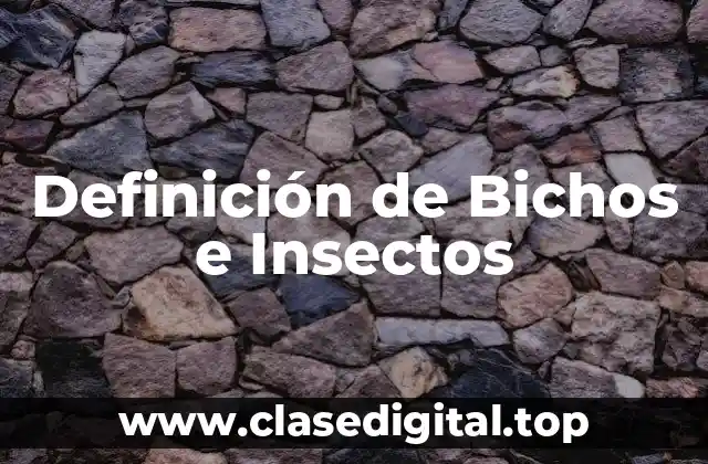 Definición de Bichos e Insectos