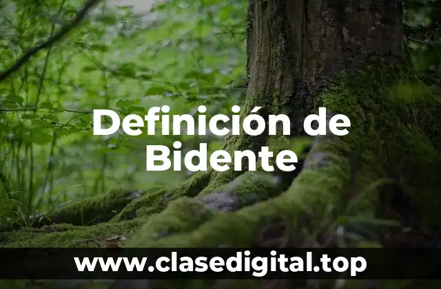 Definición de Bidente