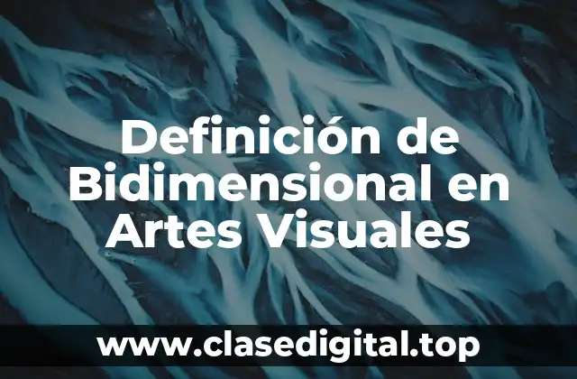 Definición de Bidimensional en Artes Visuales