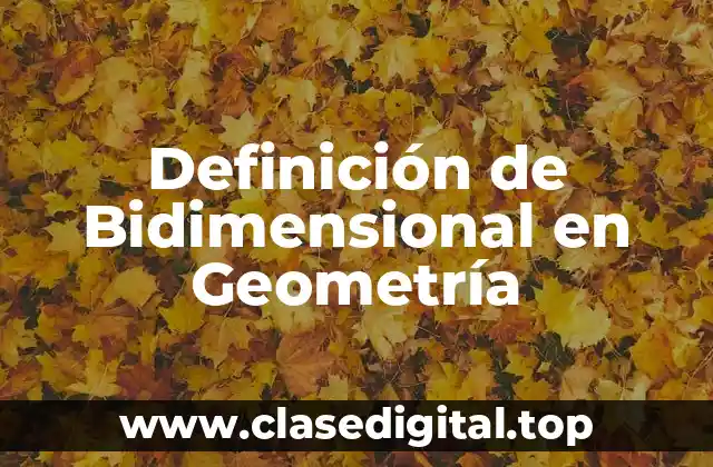 Definición Técnica de Bidimensional en Geometría
