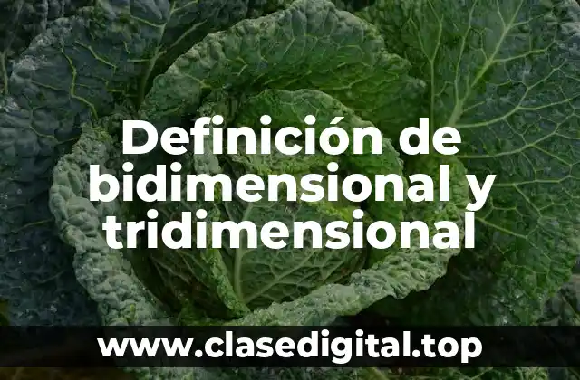 Definición de bidimensional y tridimensional