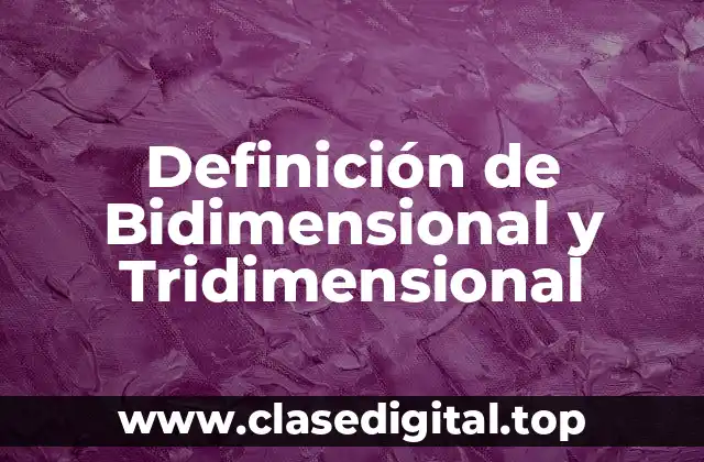 Definición técnica de Bidimensional y Tridimensional