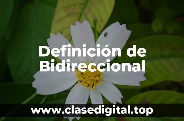 Definición de Bidireccional