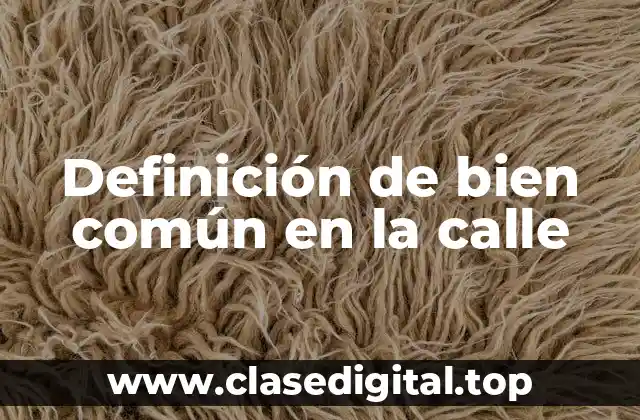 Definición de bien común en la calle