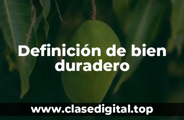 Definición de bien duradero