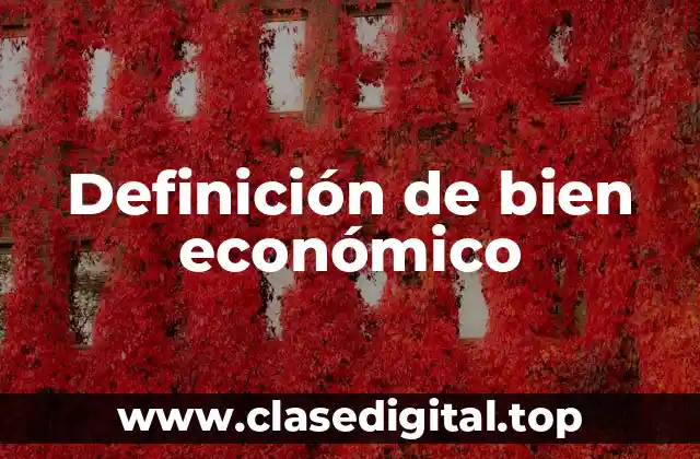 Definición de bien económico