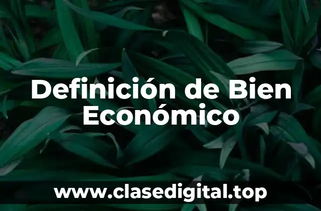 Definición Técnica de Bien Económico