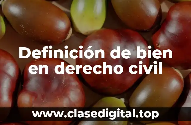 Definición de bien en derecho civil