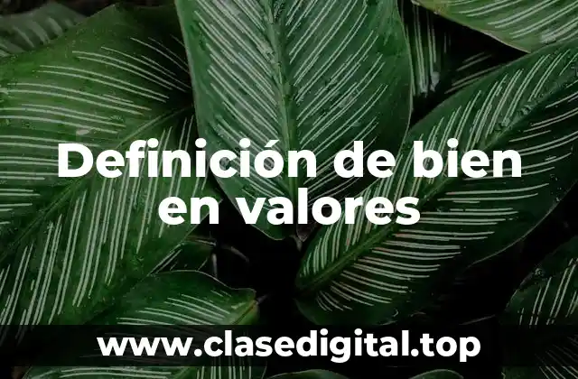 Definición de bien en valores