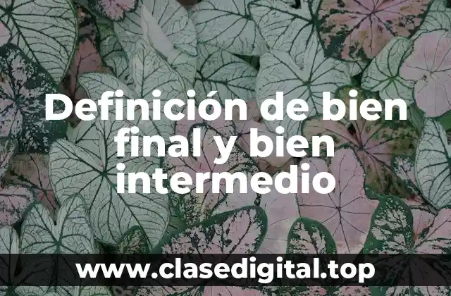 Definición de bien final y bien intermedio