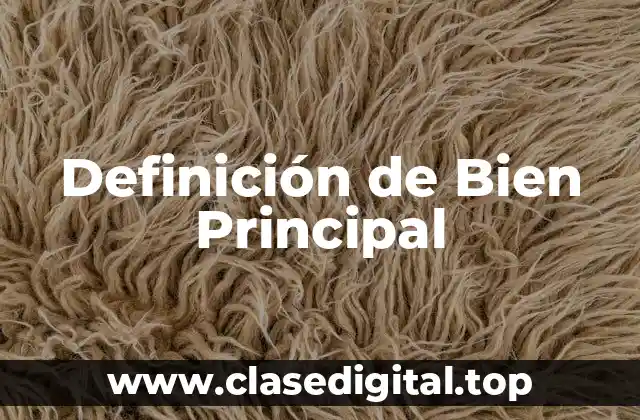 Definición técnica de Bien Principal