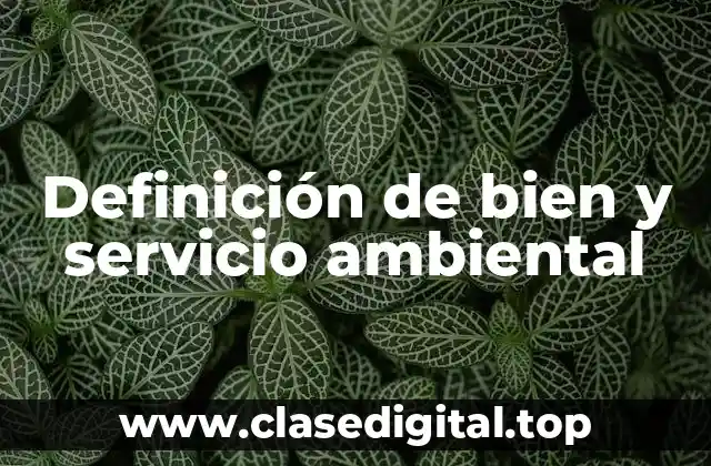 Definición de bien y servicio ambiental