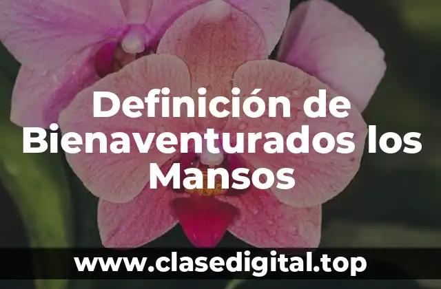 Definición de Bienaventurados los Mansos