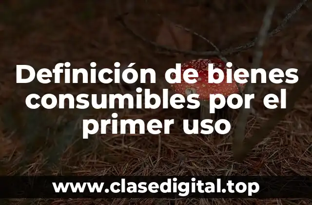 Definición de bienes consumibles por el primer uso