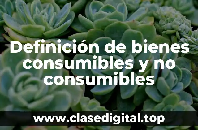 Definición técnica de bien consumible