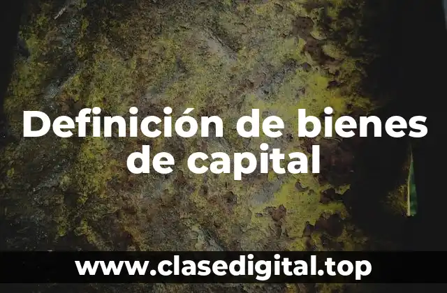Definición de bienes de capital