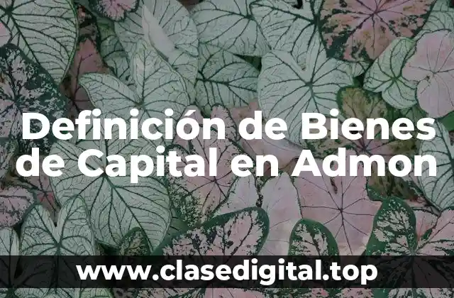 Definición de Bienes de Capital en Admon