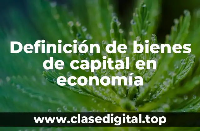 Definición de bienes de capital en economía