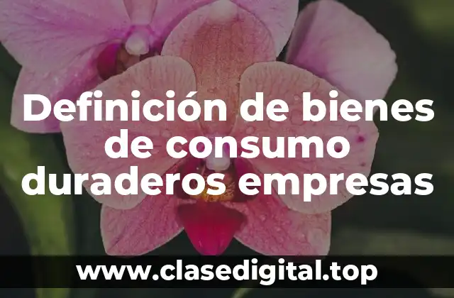 Definición de bienes de consumo duraderos empresas