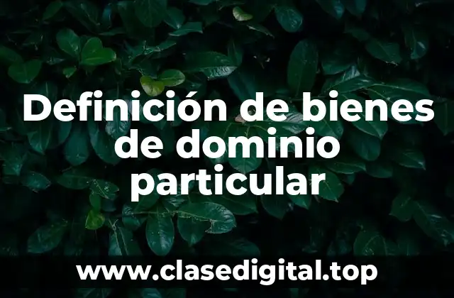 Definición de bienes de dominio particular