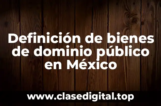 Ejemplos de bienes de dominio público en México