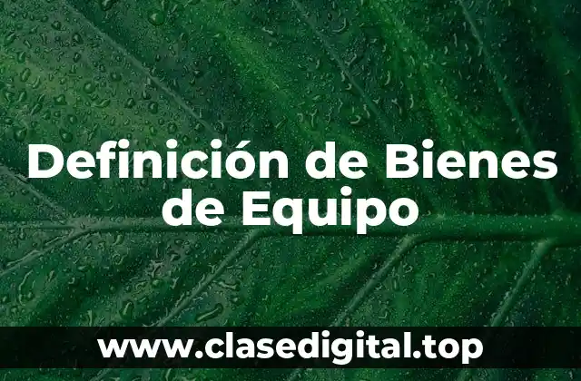 Definición de Bienes de Equipo