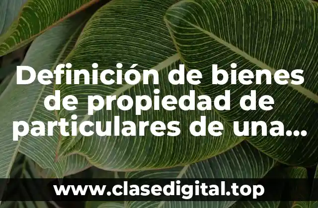 Definición de bienes de propiedad de particulares de una empresa