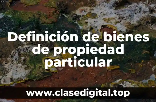 Ejemplos de bienes de propiedad particular