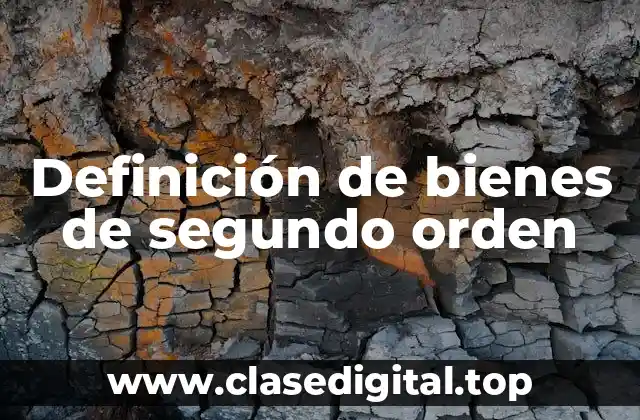 Definición de bienes de segundo orden