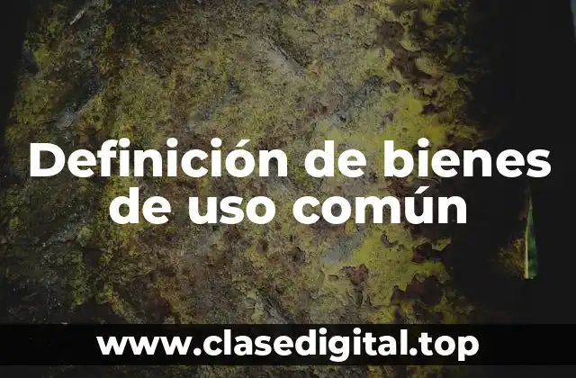Definición de bienes de uso común
