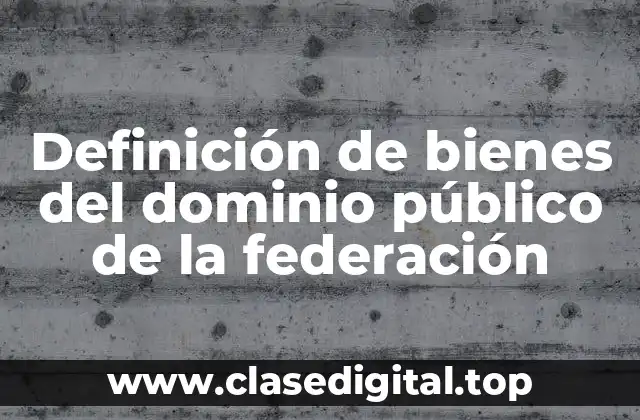 Ejemplos de bienes del dominio público de la federación