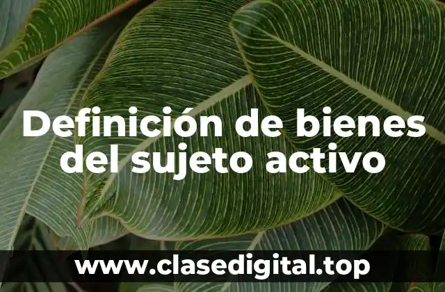 Ejemplos de bienes del sujeto activo