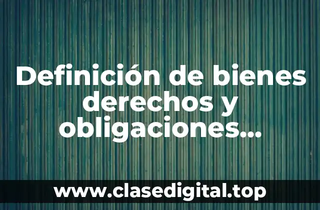 Definición de bienes derechos y obligaciones contables personales