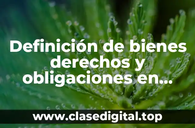Ejemplos de bienes derechos y obligaciones en contabilidad