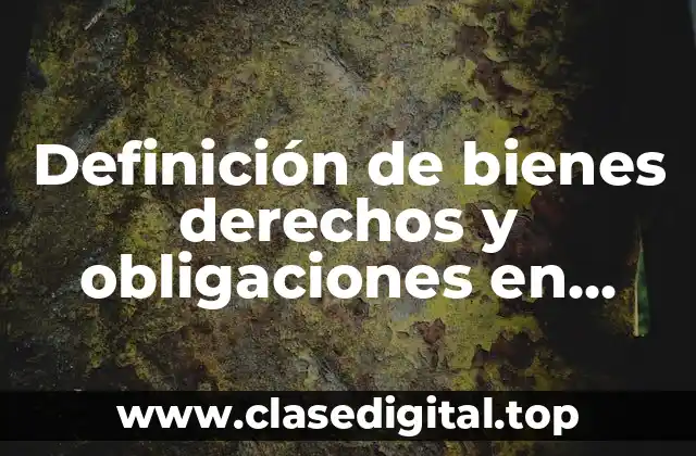 Definición de bienes derechos y obligaciones en contabilidad